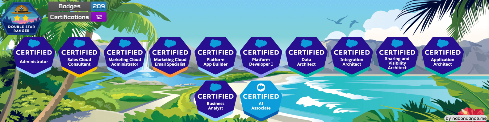 Salesforce Zertifizierungen – Rainer Richter